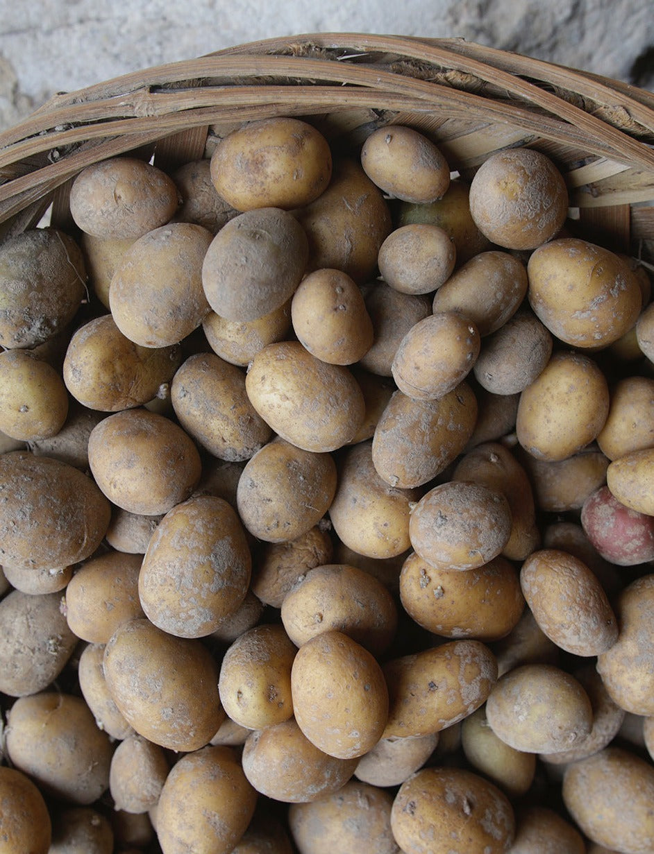 Menú Pitu Guisado con Patatinos